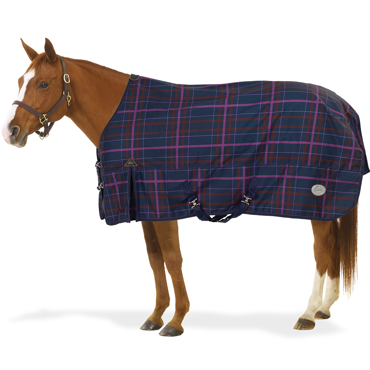 Horsewear